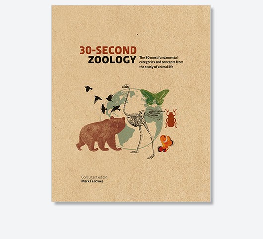 30-Second Zoology: The 50 most fundamental categories and concepts from the study of animal life by Mark Fellowes and various contributors is out now (£14.99, Ivy Press)