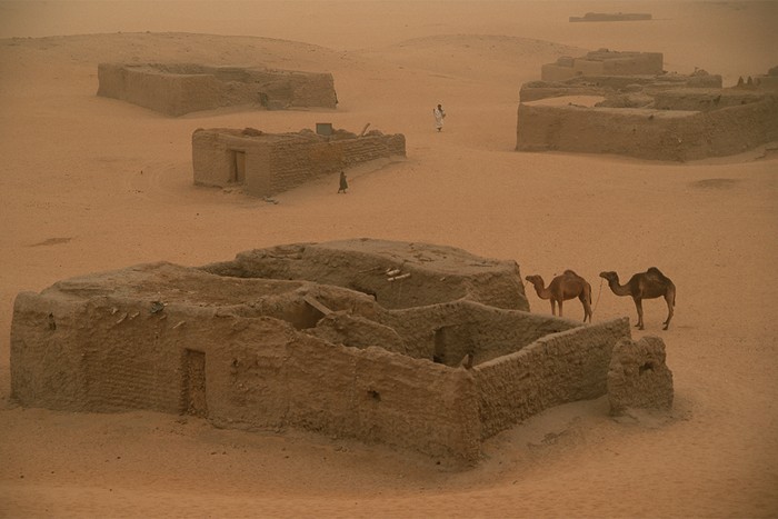 desert buildings and camels