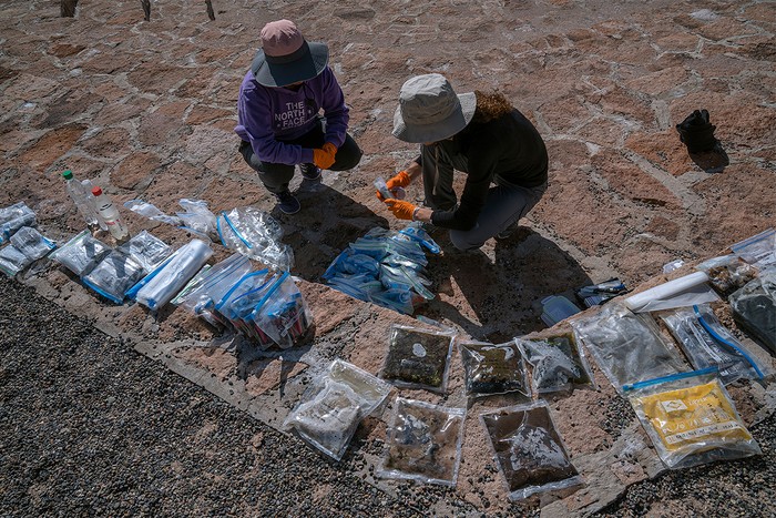 Scientists sort samples into bags
