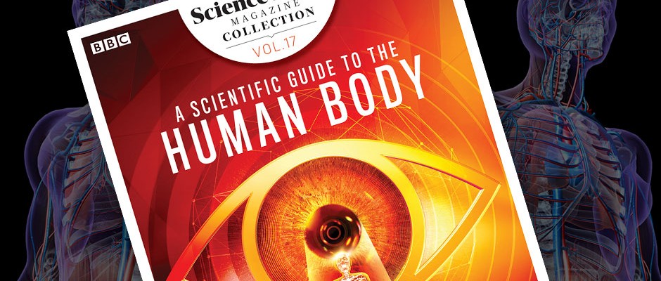 A scientific guide to the human body
