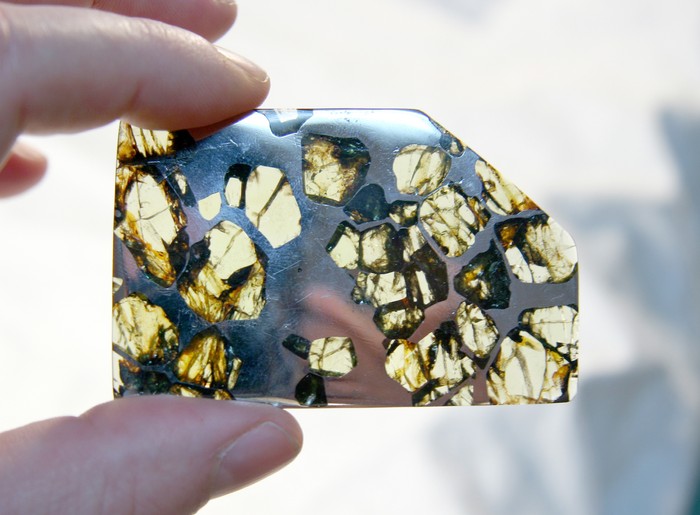A photograph of a pallasite that has been cut and polished