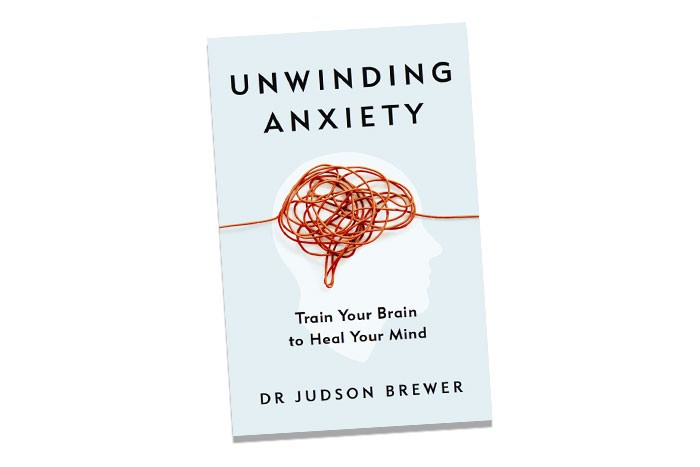 Cover of Unwinding Anxiety